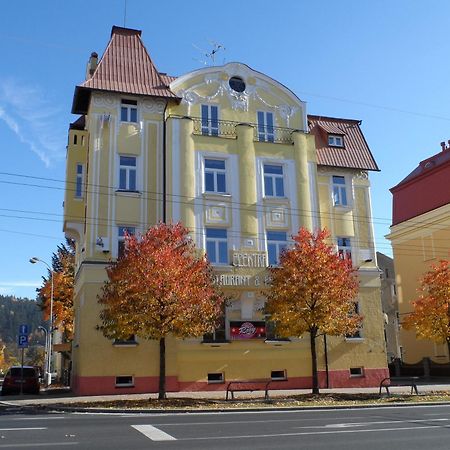 Pension Elektra Mariánské Lázně Екстериор снимка